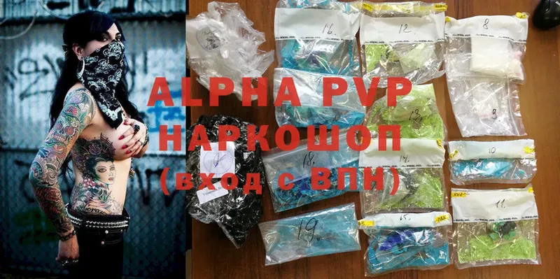 A PVP СК КРИС  Белокуриха 